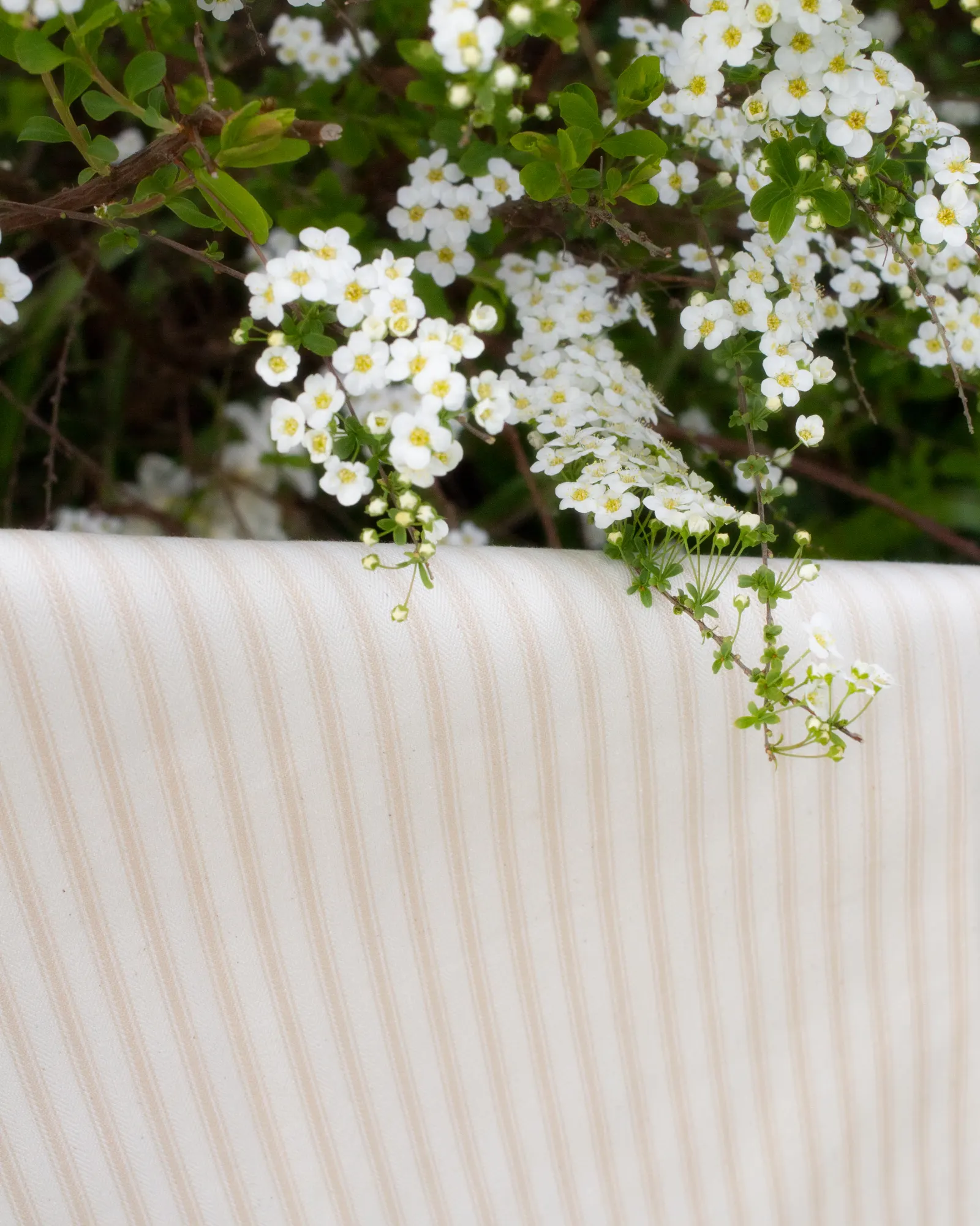 ian mankin ticking 01 striped curtains