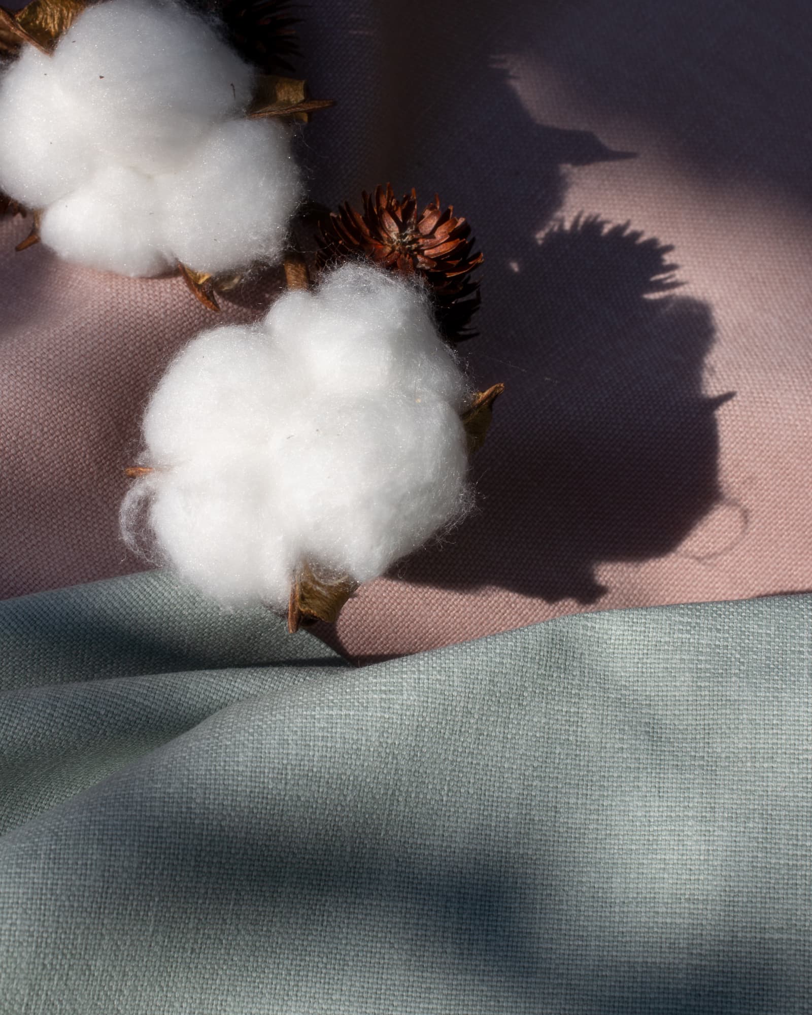 blue and pink cotton curtains