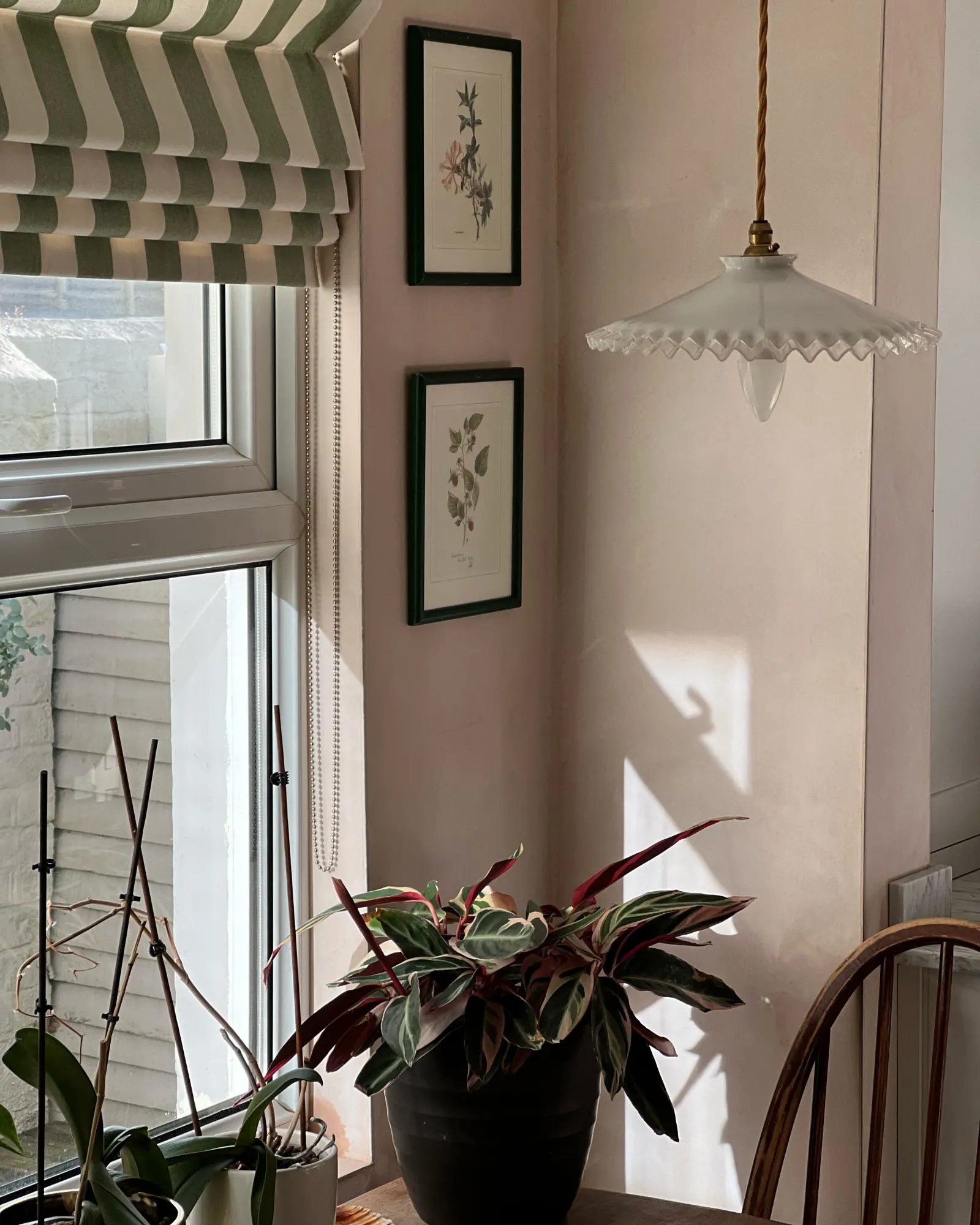 home interior with plants