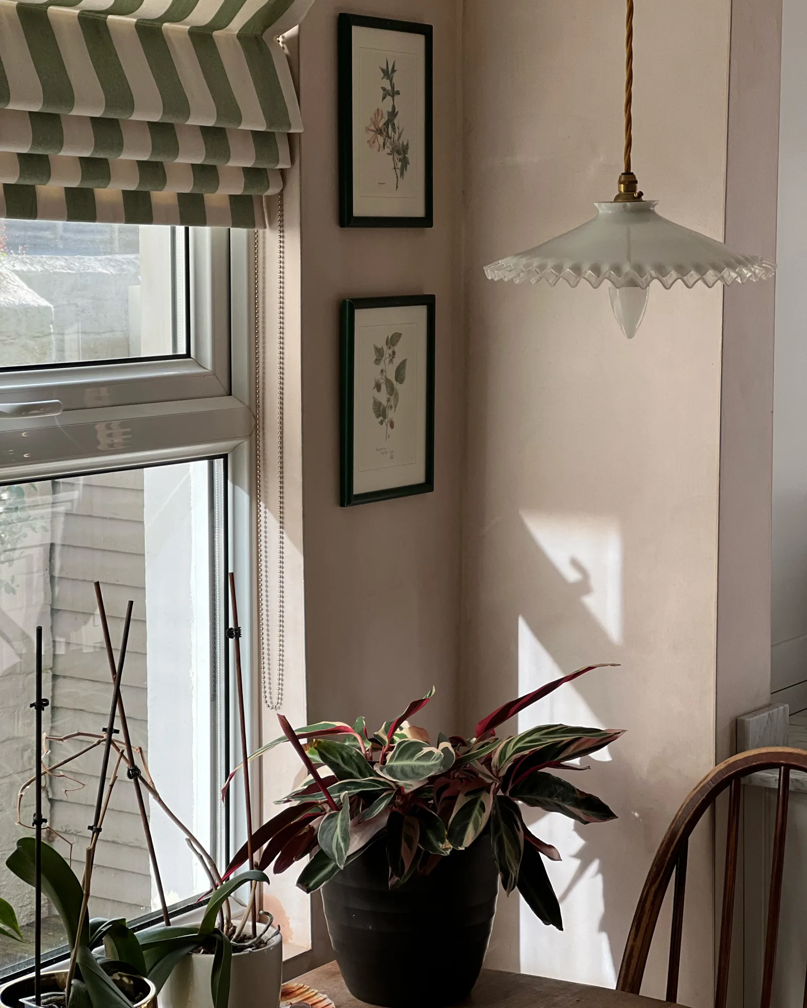 green striped roman blinds