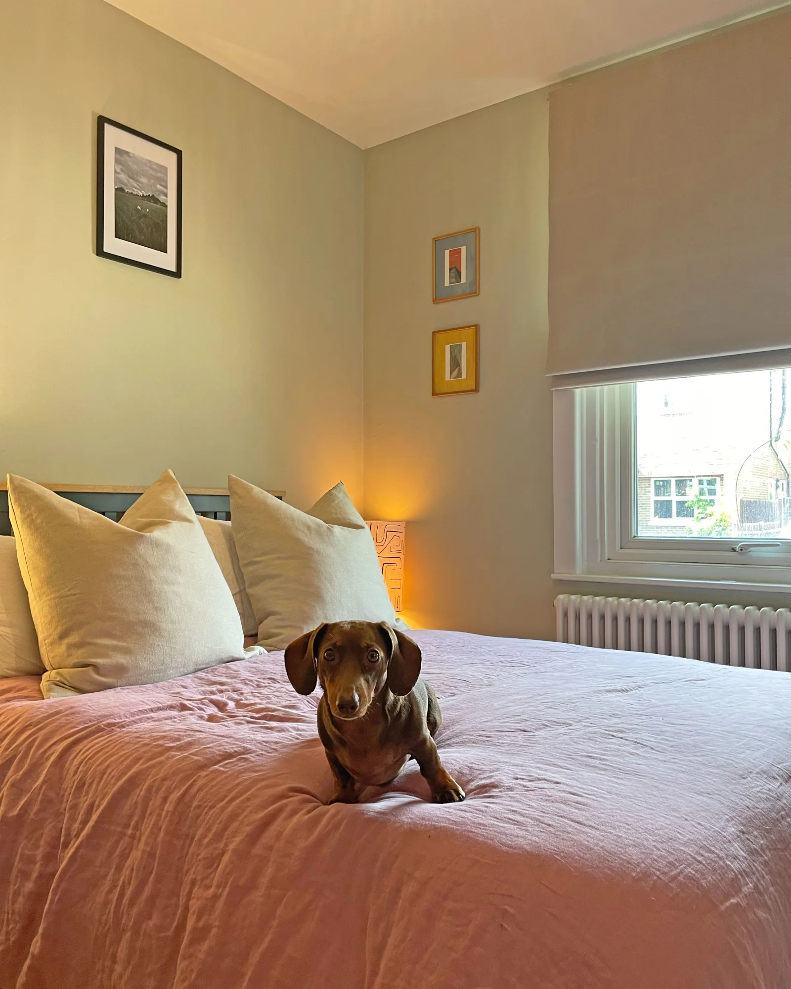 motorised bedroom blinds