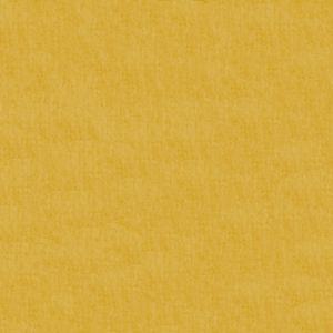 Citrine fabric swatch