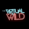 Top Web Development Companies in Dallas - The Virtual Wild