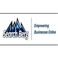 Top Advertising Agencies - SEARCH BERG