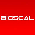 Top Web Design Companies in India - Bigscal Technologies Pvt. Ltd.