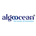 Top Web Development Companies - Algoocean Technologies Pvt Ltd