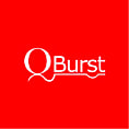 Top Web Development Companies - QBurst