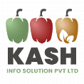 Top Web Design Companies in India - Kash Solution Pvt Ltd