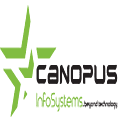 Top Business Intelligence Companies - Canopus Infosystems