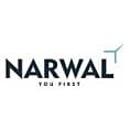 Top Cloud Consulting Companies - Narwal