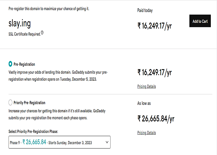 google allow ing domain