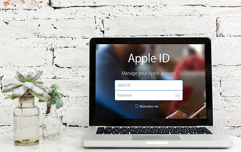 Reset The Apple ID Password