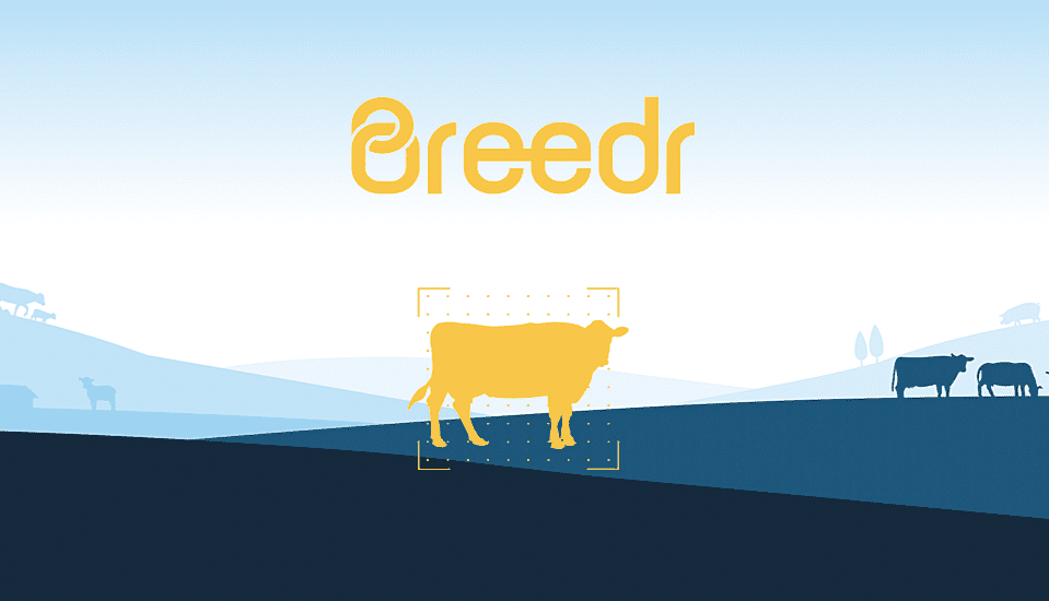   Livestock App Breedr Secures £2.2M In Funding