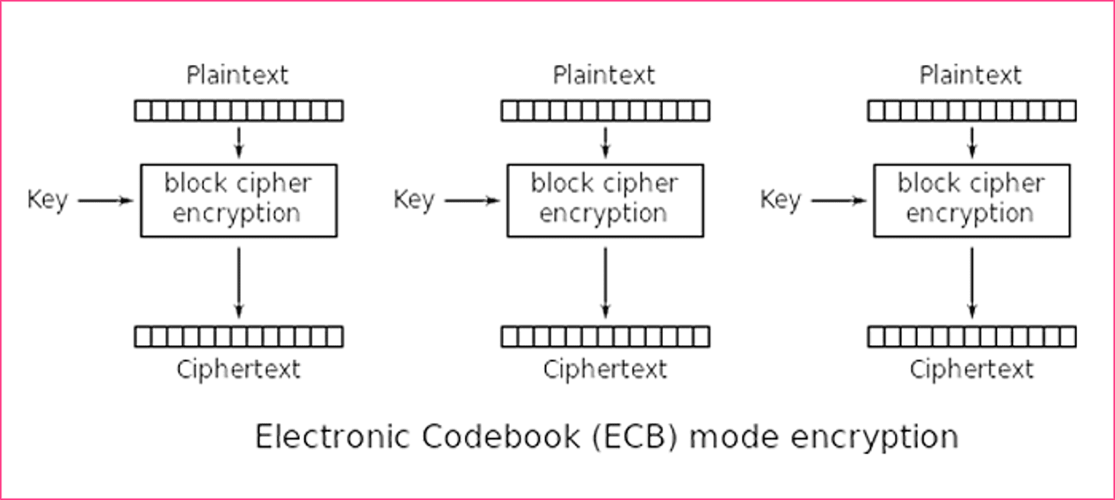 Encrypt the Blocks