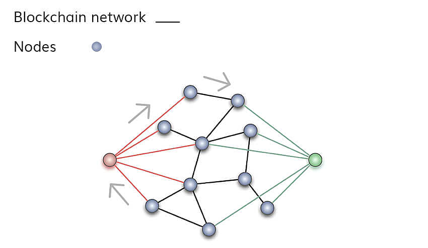 nodes