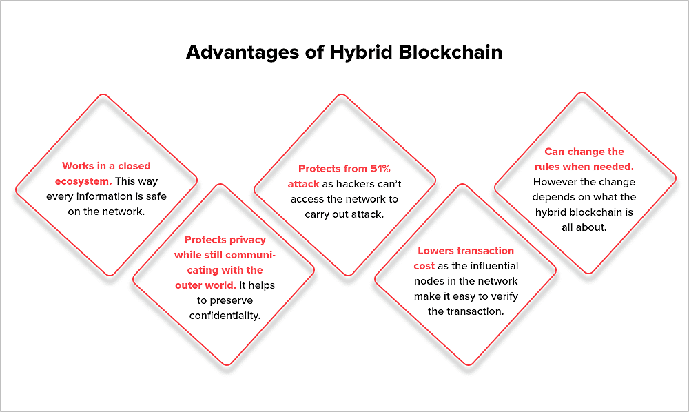 Hybrid Blockchains