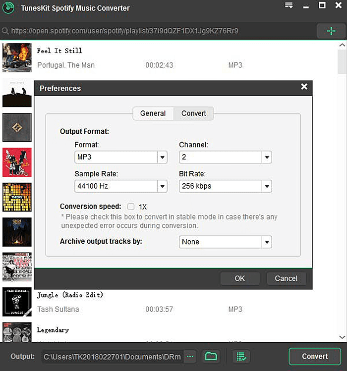 Tuneskit Spotify Music Converter download
