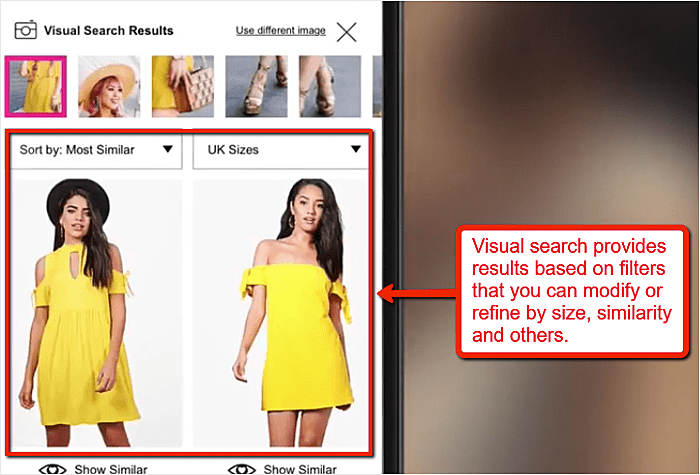 Visual Search