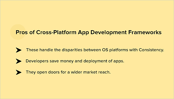 multi platform mobile app development