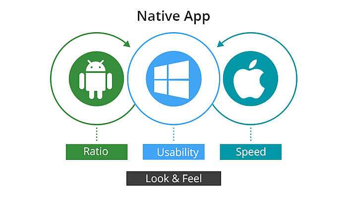 Hybrid vs native