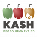 Kash Solution Pvt Ltd