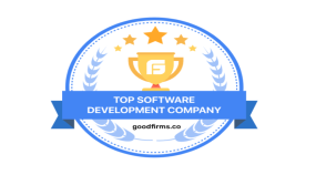 Top Software Development Company