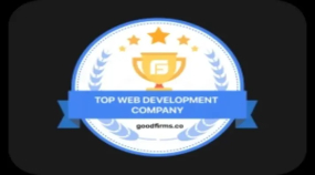 Top Web development Company