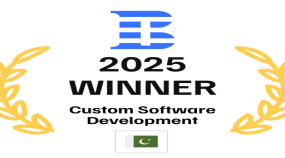 Top Custom Software Development Company 2025