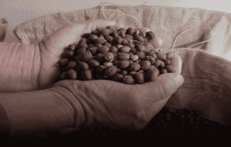 Al Fanoos International ltd