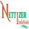 Nettizer Infotech logo