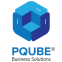 PQube Business Solutions Private Limited  logo