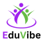 EDUVIBE SOLUTIONS logo