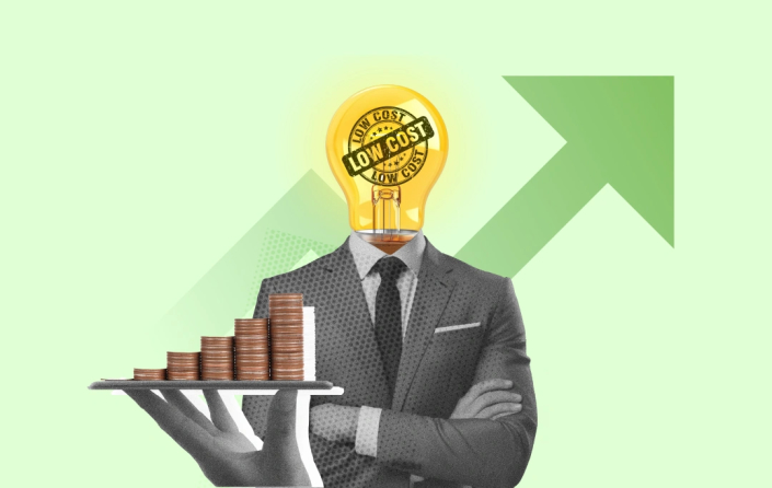 low-cost business ideas with high profit