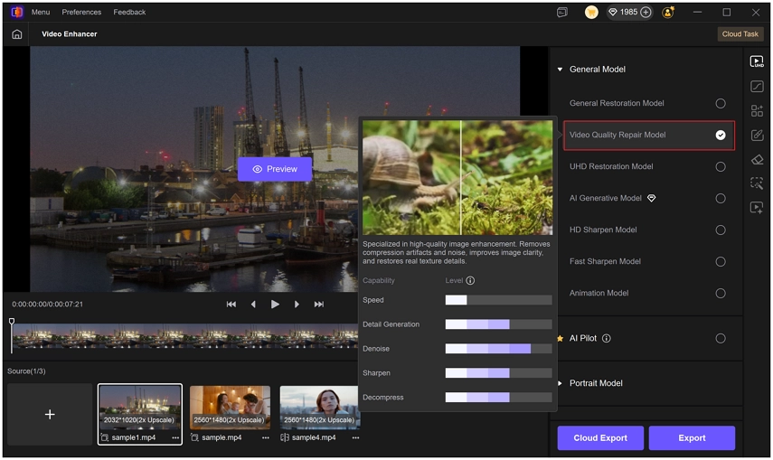 Video Repair and Restoration