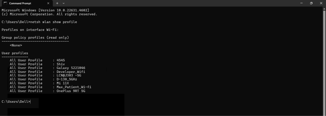 command has been entered in command prompt