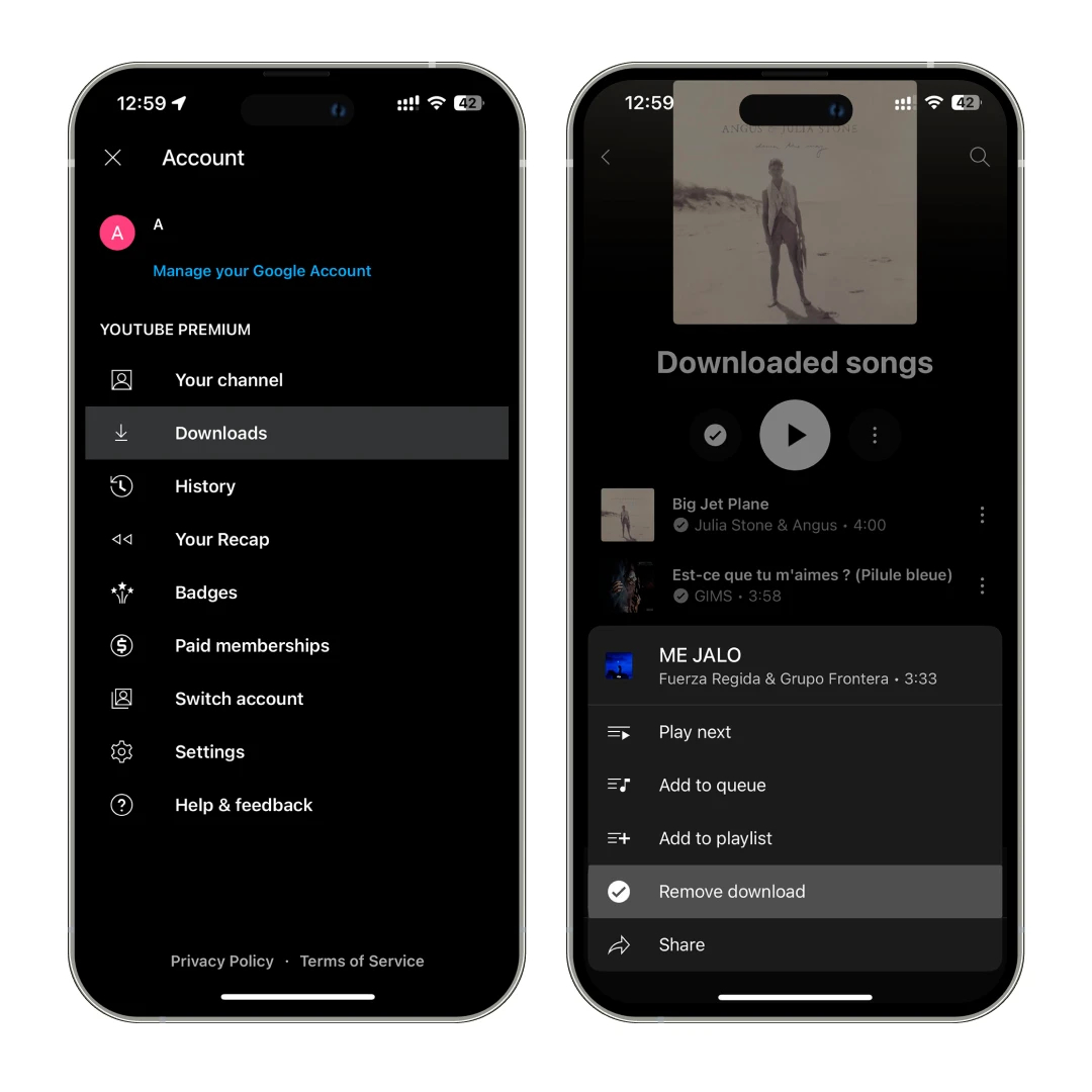 iPhone YouTube Music Cleanup
