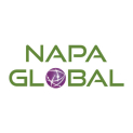 NAPA Global | IT Services and Consulting