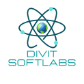 Divit Softlabs Private Limited
