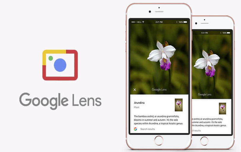 Google Lens For iOS Users Is Now Available With Latest Google Photos Update