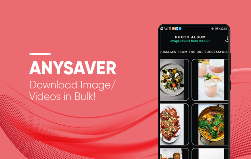 AnySaver