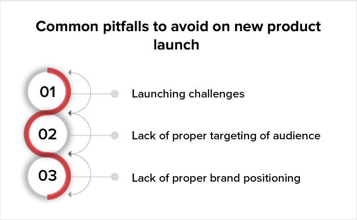 new product launch marketing plan