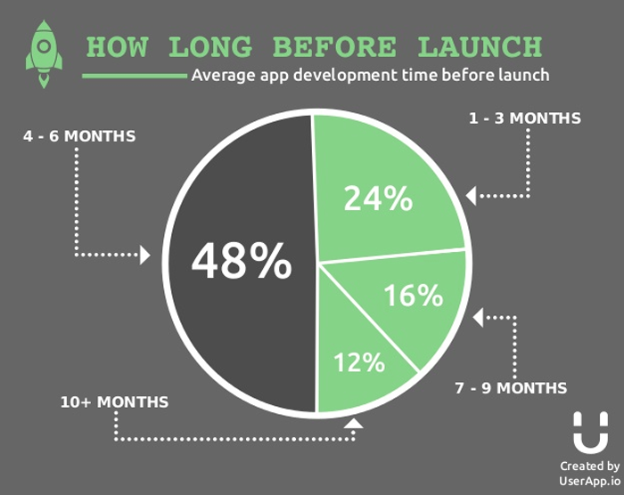 app development project timeline