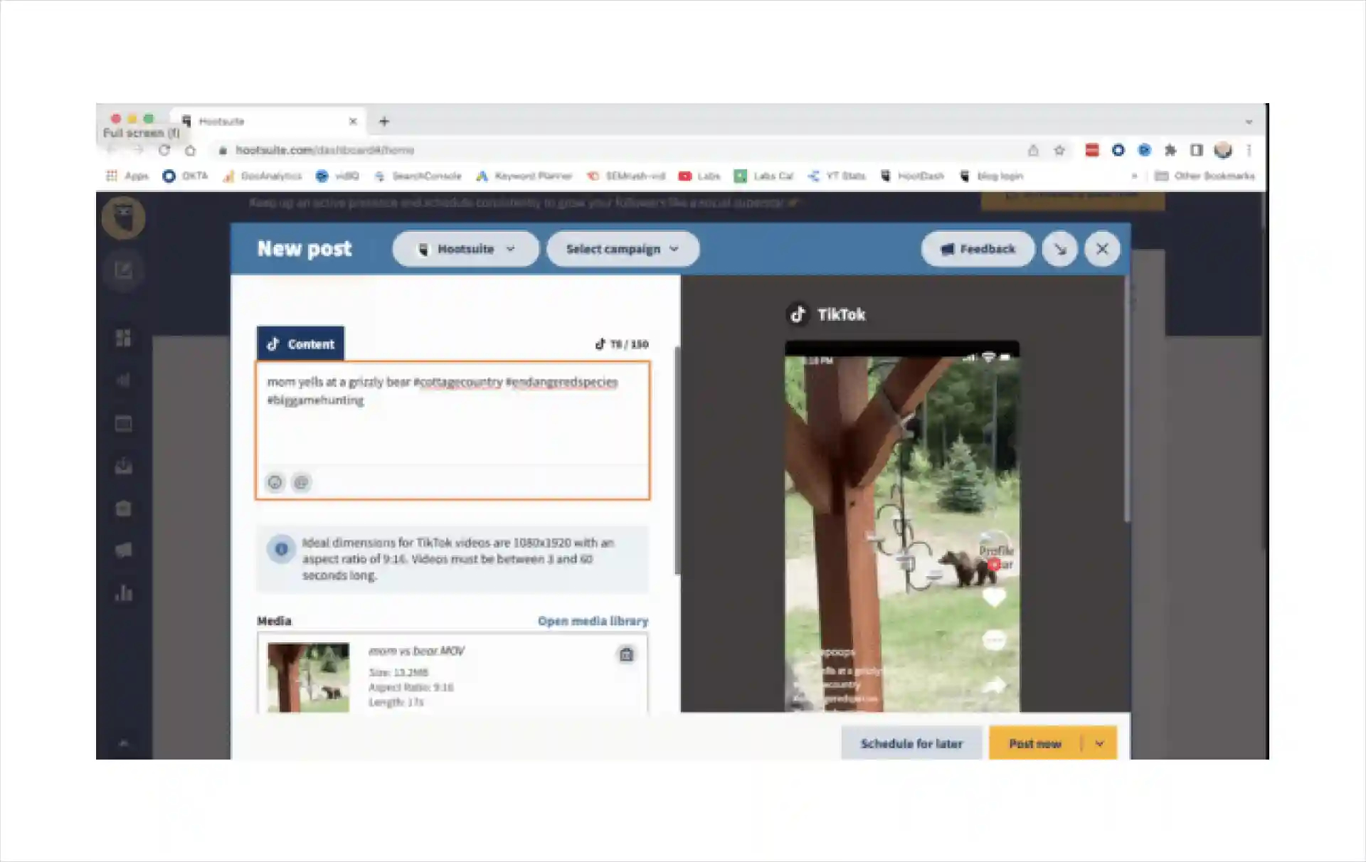 tiktok best times to post
