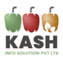 Kash Solution Pvt Ltd