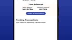 Fapshi Portfolio Image