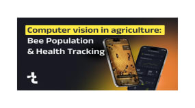 How Computer Vision in Agriculture Helps Track Bee Population and Health Portfolio Image