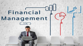 Streamlining Accounts Payable & Receivable Through Intelligent Financial Automation Portfolio Image