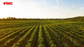 Hybrid Data Management platform for a US-based agrochemical giant Portfolio Image