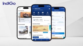 Largest Low-cost Airline Soars High Digitally Portfolio Image
