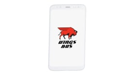 Buffalo Wings Portfolio Image